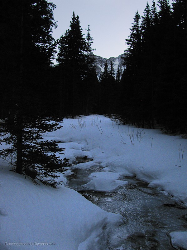 43_2013013022002311_l.jpg