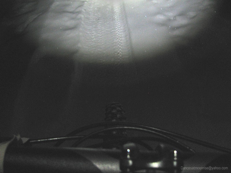 43_2013013022002316.jpg