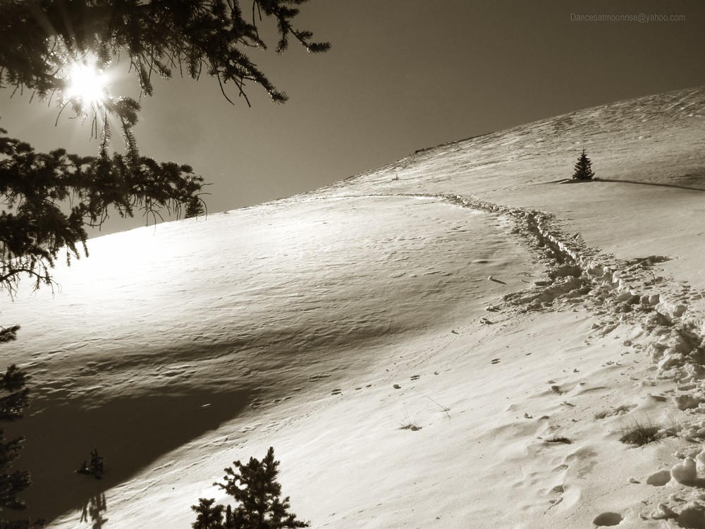 46_2013012710263527_l.jpg