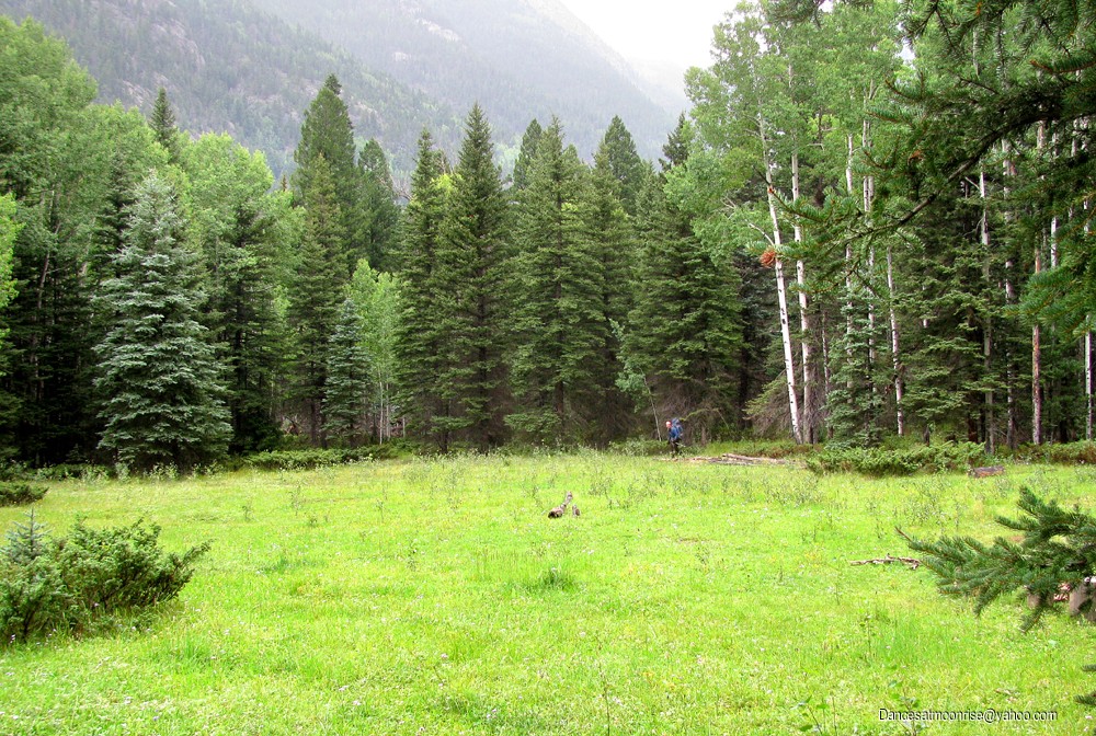 un_2012082613013514_l.jpg