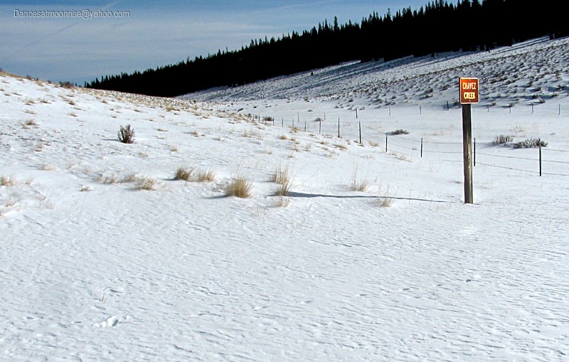 un_2013020817490311_l.jpg