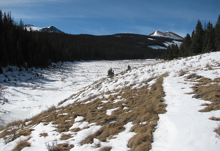 un_2013020817490313_l.jpg