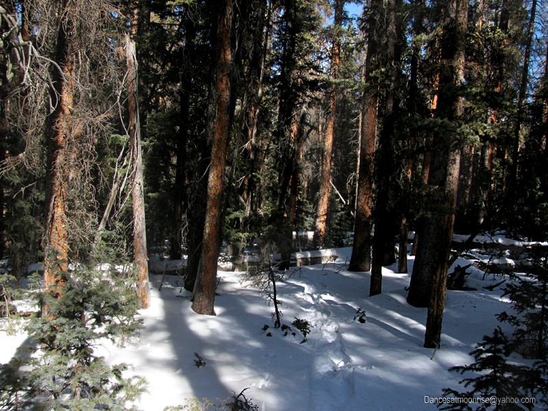 un_2013020817490315_l.jpg