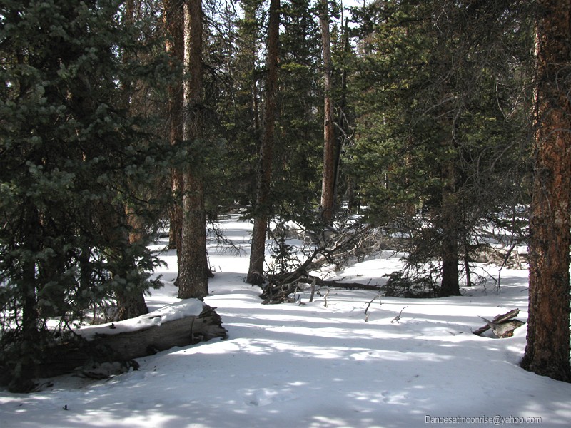 un_2013020817490316_l.jpg