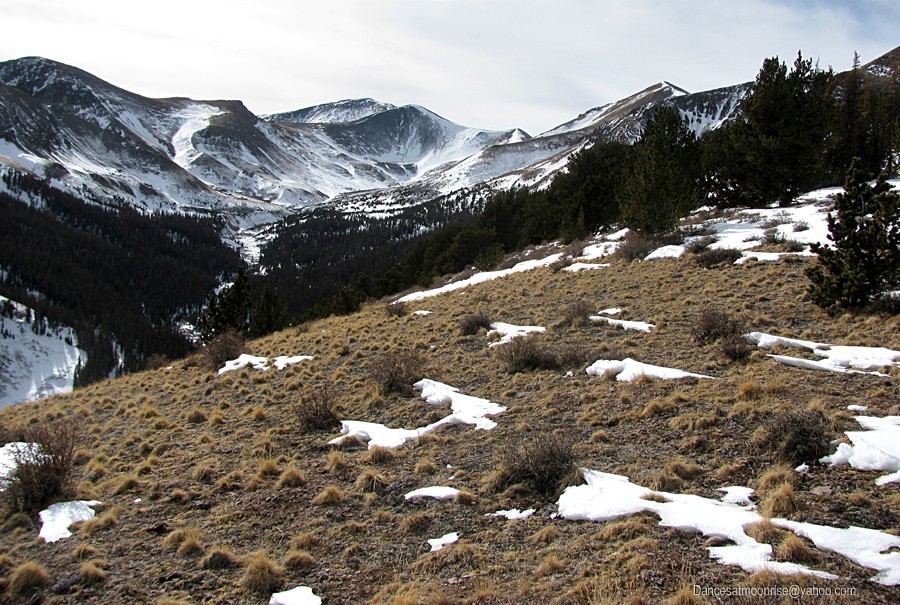 un_2013020817490317_l.jpg