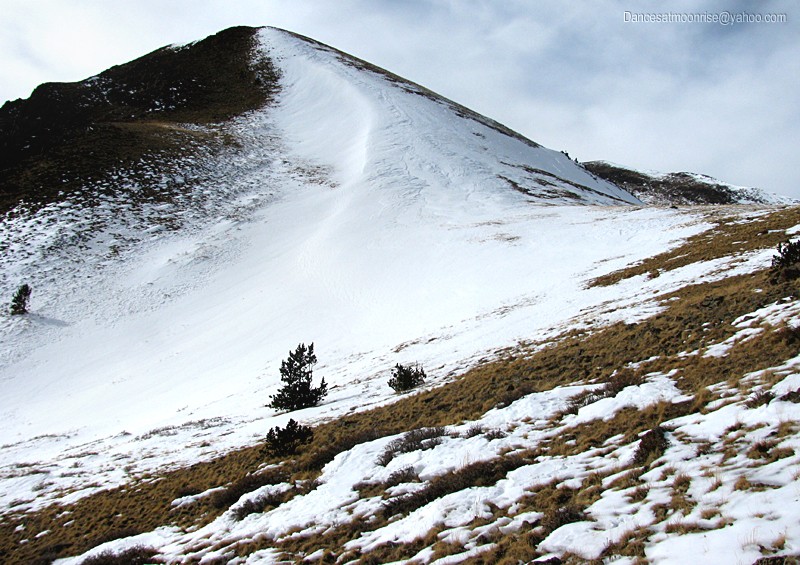 un_2013020817490318_l.jpg