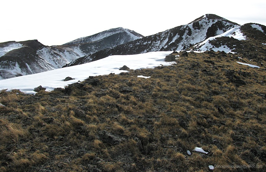 un_2013020817490319_l.jpg