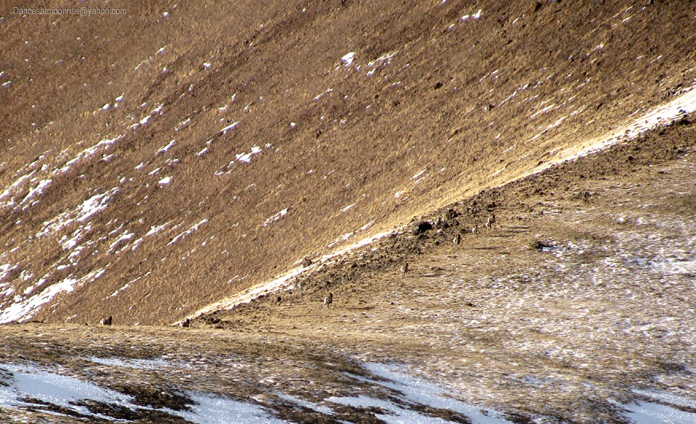 un_2013020817490322_l.jpg