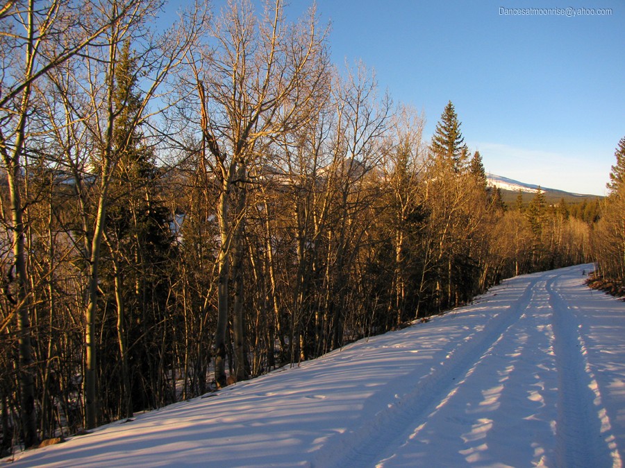 un_201302081749035_l.jpg