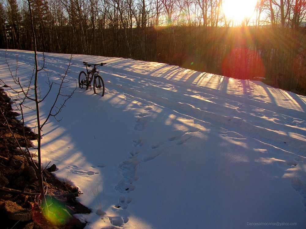 un_201302081749036_l.jpg