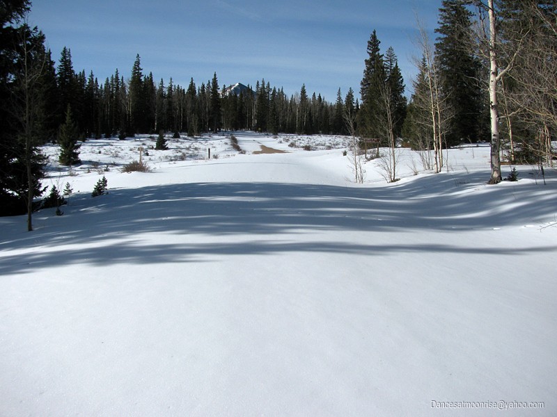 un_201302081749038_l.jpg