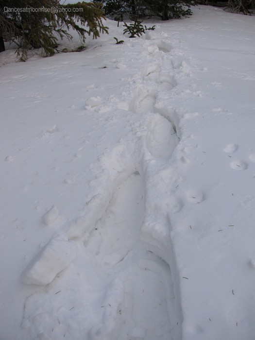 un_201302081752503_l.jpg