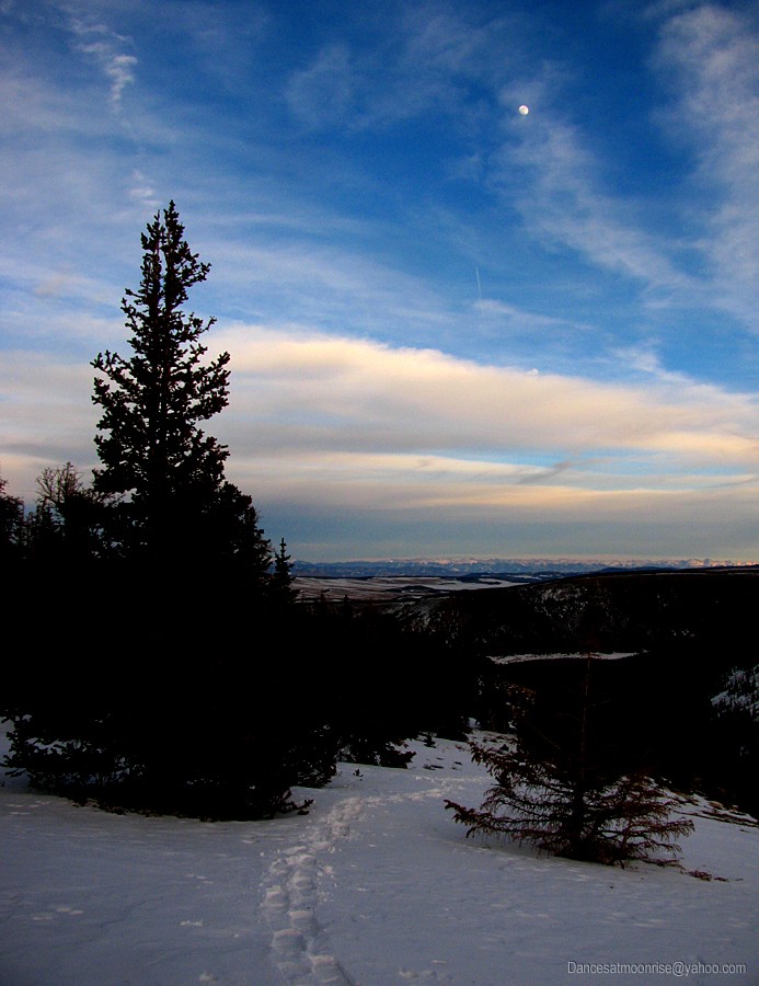 un_201302081752504_l.jpg