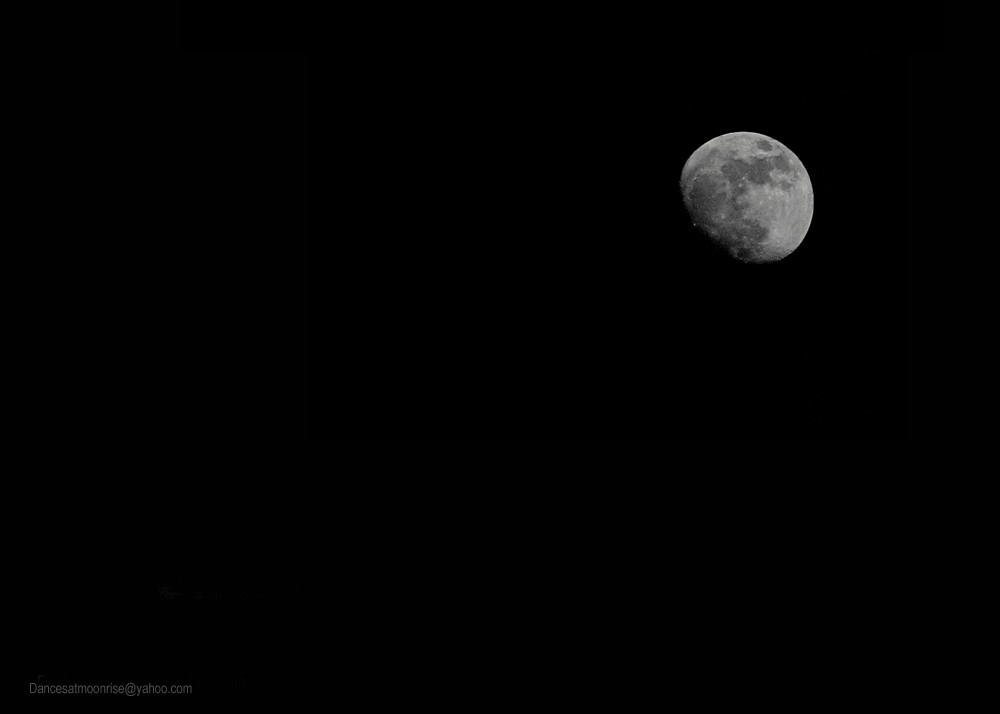 un_2013020821442611_l.jpg